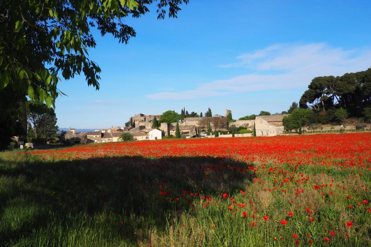 Chambres D'Hotes Le Relais Des Marmottes En Luberon Lagnes Экстерьер фото