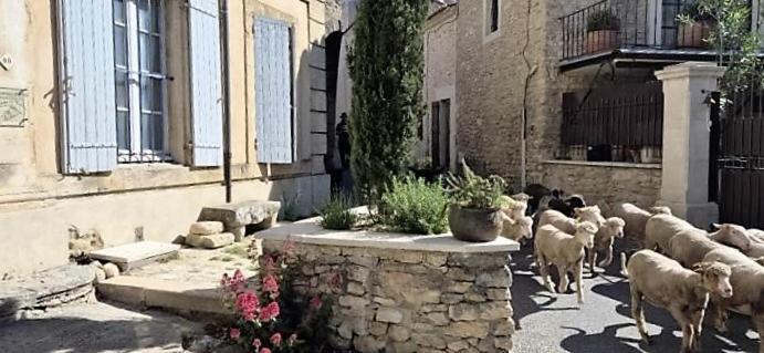 Chambres D'Hotes Le Relais Des Marmottes En Luberon Lagnes Экстерьер фото